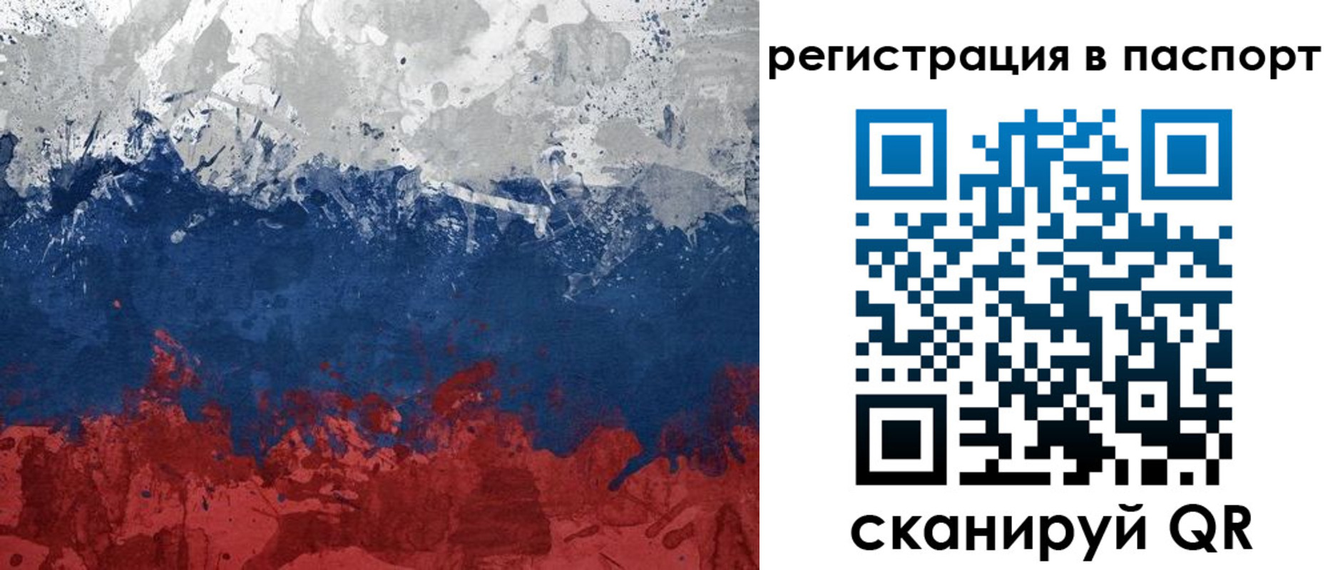 прописка гарантия в Шадринске